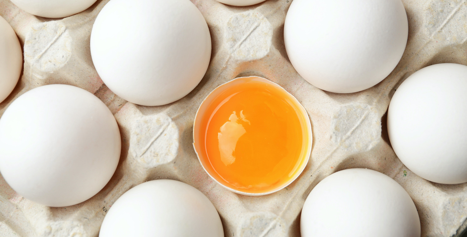 Rows of Eggs